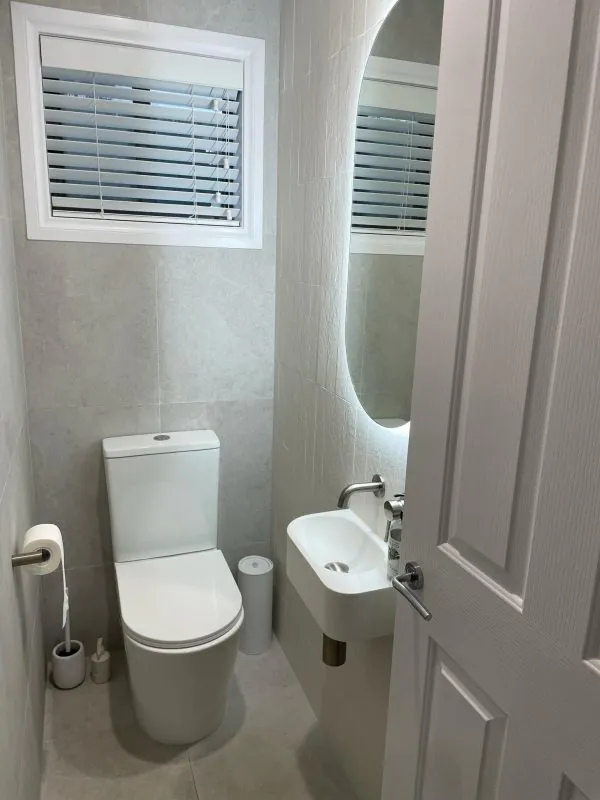 Bria Hill toilet bathroom renovation